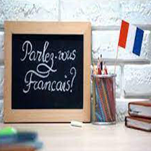 Why is it important to be fluent in French to be able to work in France